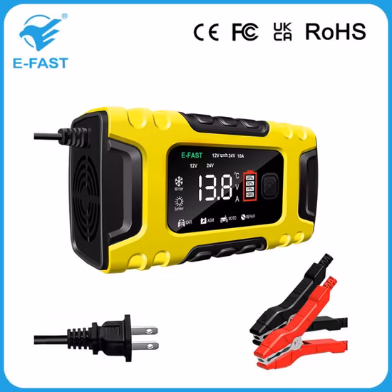 Intelligent 12V 24V AGM Efb Lead Acid Battery Charger with ABS Shell